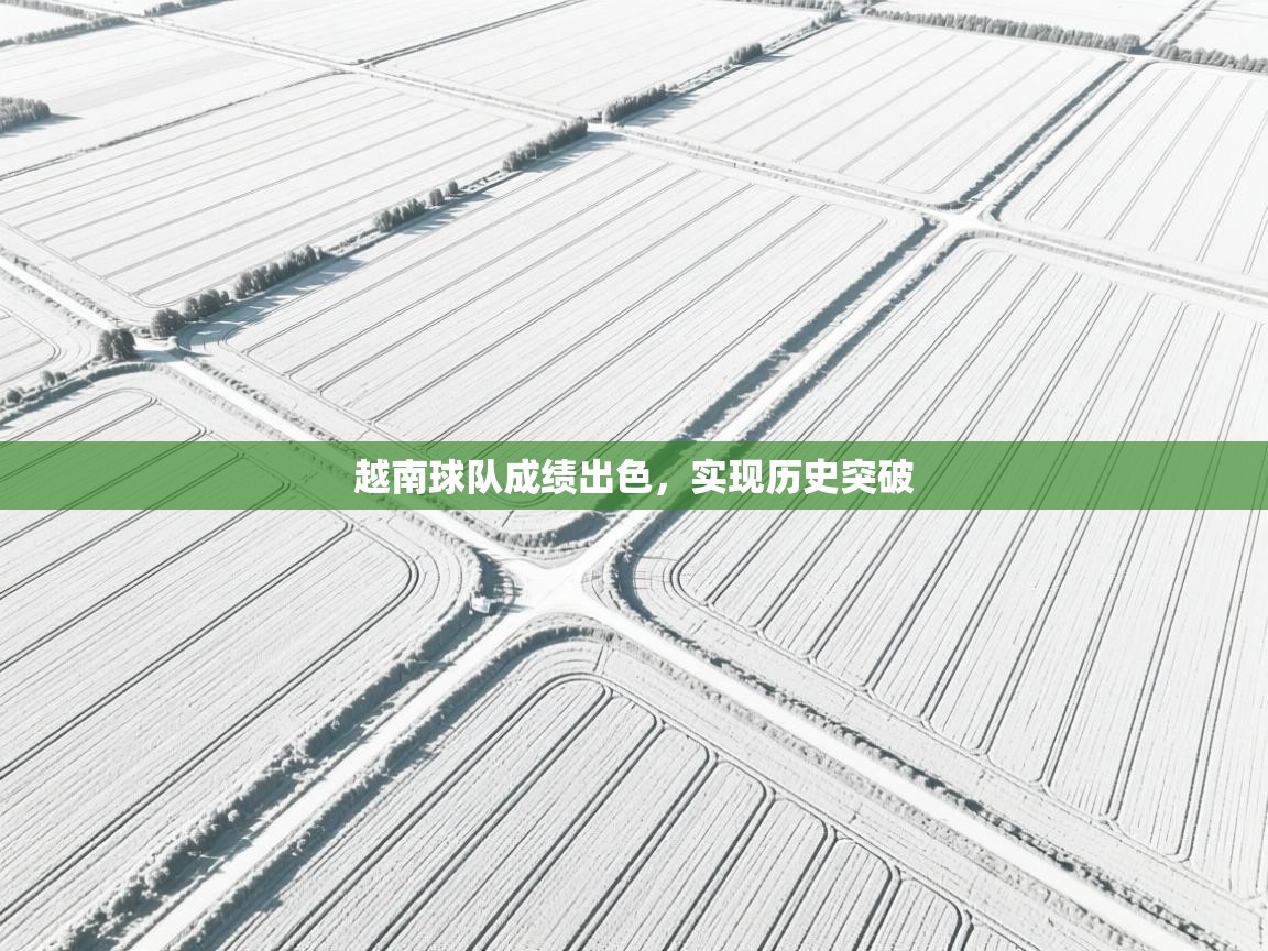 越南球队成绩出色，实现历史突破  第2张