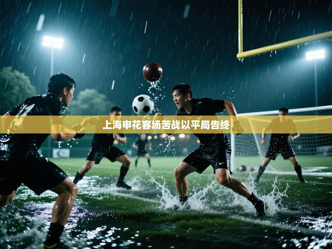 上海申花客场苦战以平局告终  第2张