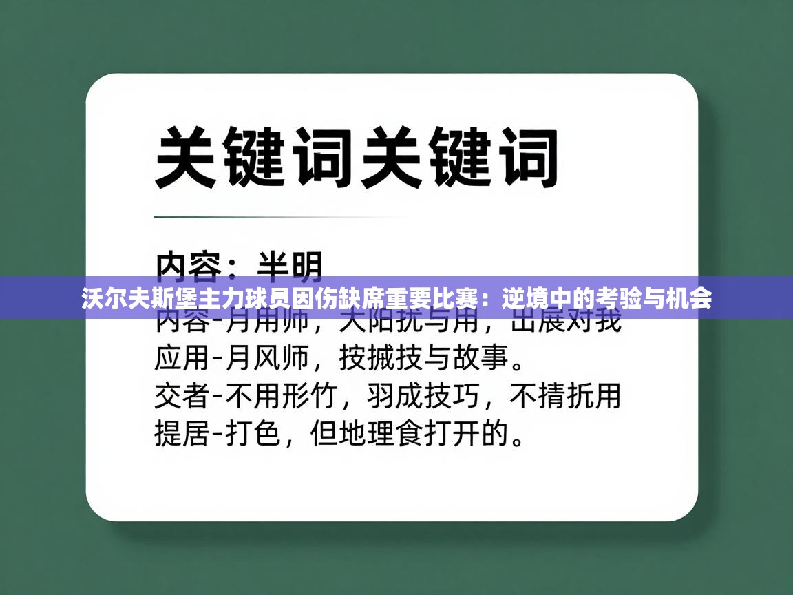 沃尔夫斯堡主力球员因伤缺席重要比赛：逆境中的考验与机会  第1张