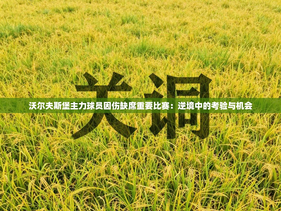 沃尔夫斯堡主力球员因伤缺席重要比赛：逆境中的考验与机会  第2张